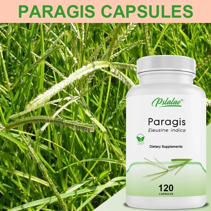 Naturethics Paragis Pregnancy Nutrition PCOS Cyst All-Natural Organic Supplement 120 Capsules Non-GMO - Image 3